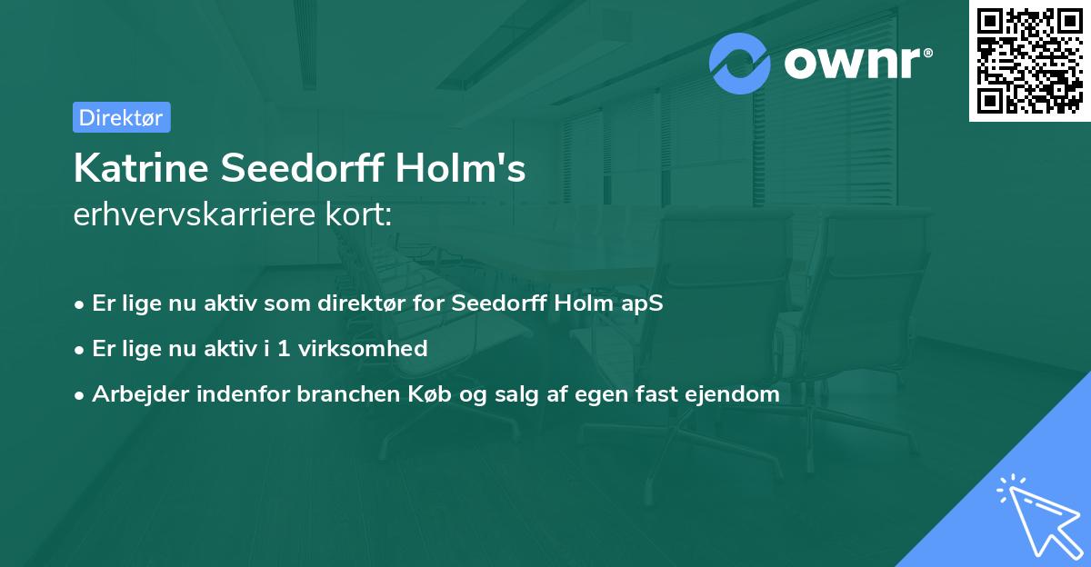 Katrine Seedorff Holm's erhvervskarriere kort