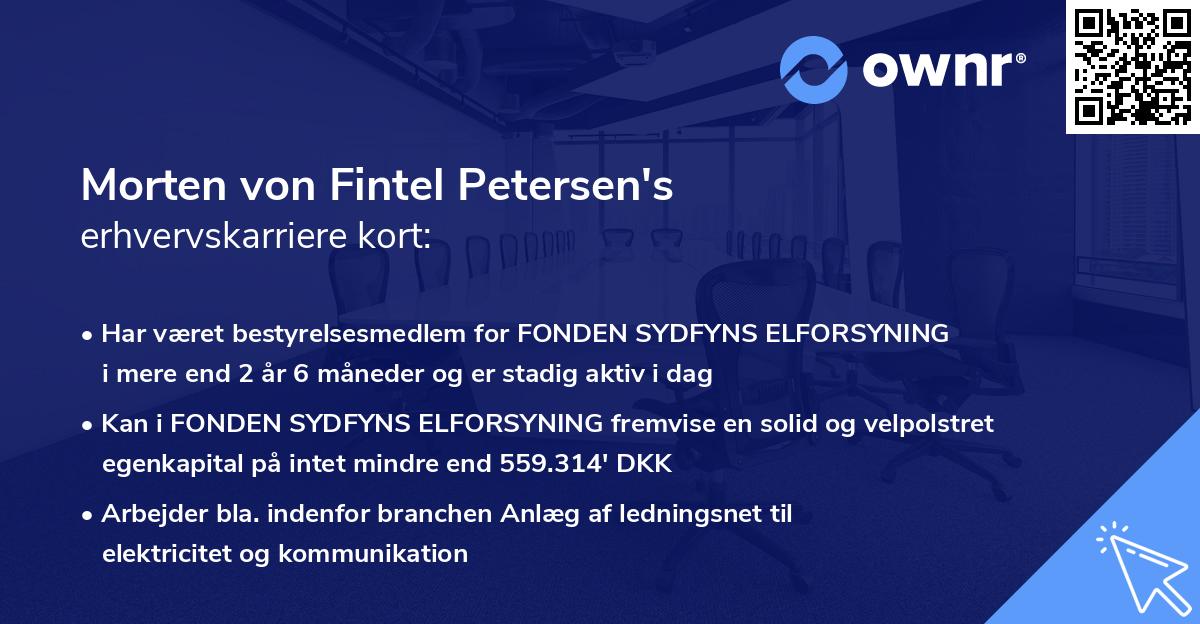 Morten von Fintel Petersen's erhvervskarriere kort