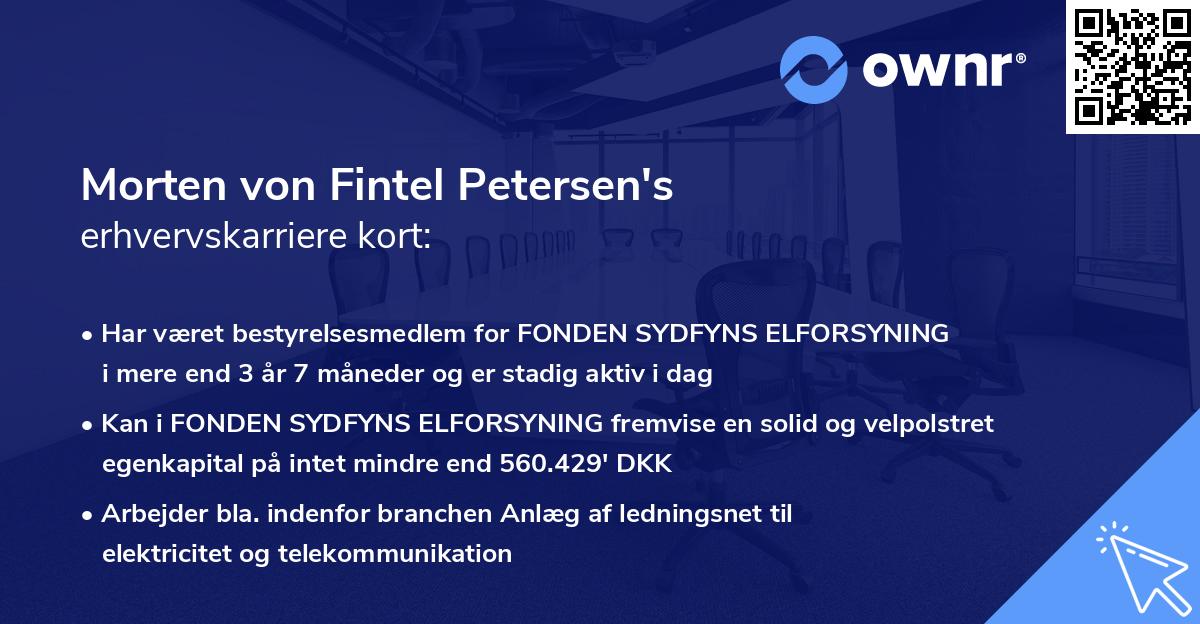Morten von Fintel Petersen's erhvervskarriere kort