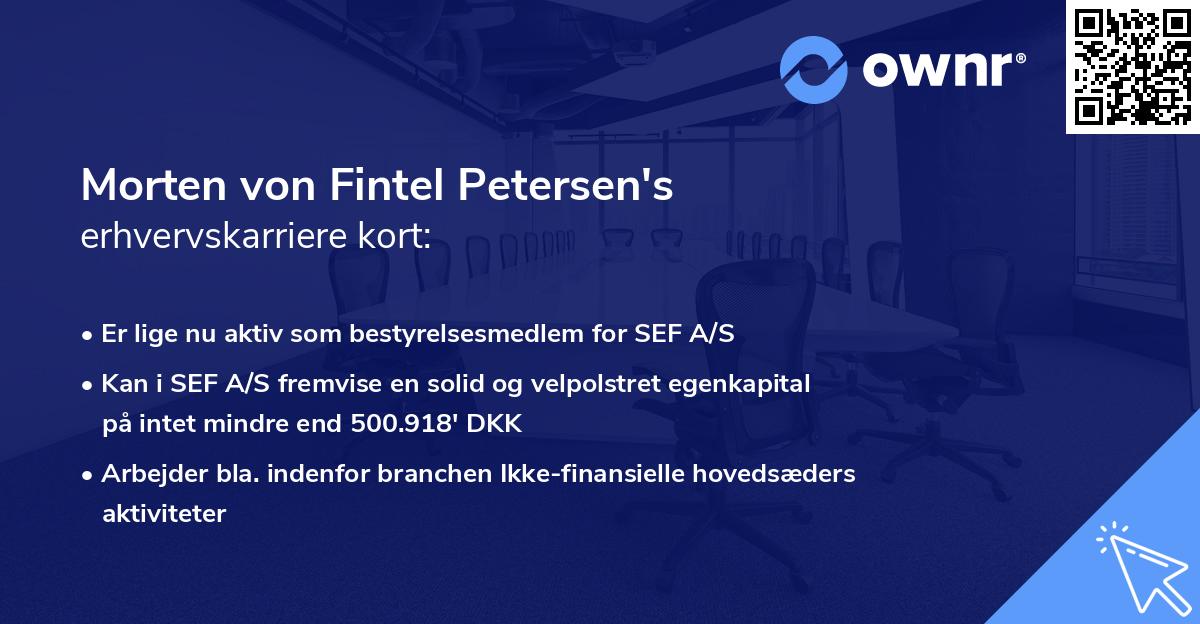 Morten von Fintel Petersen's erhvervskarriere kort