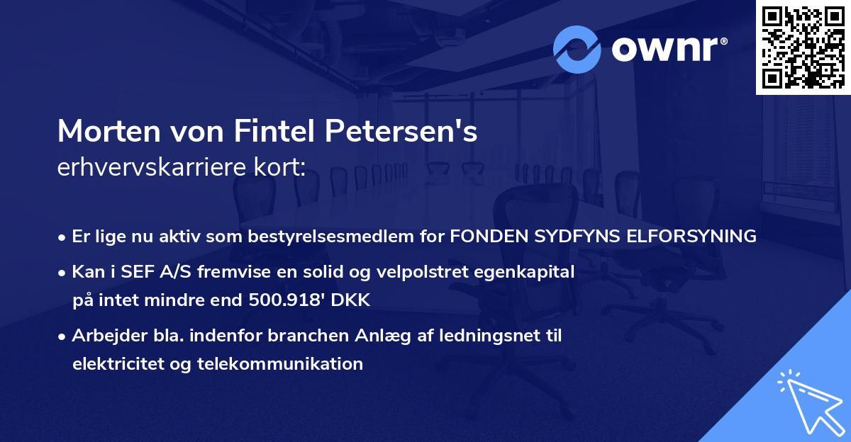 Morten von Fintel Petersen's erhvervskarriere kort
