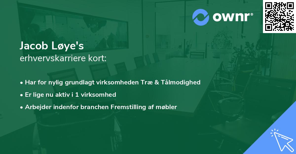 Jacob Løye's erhvervskarriere kort