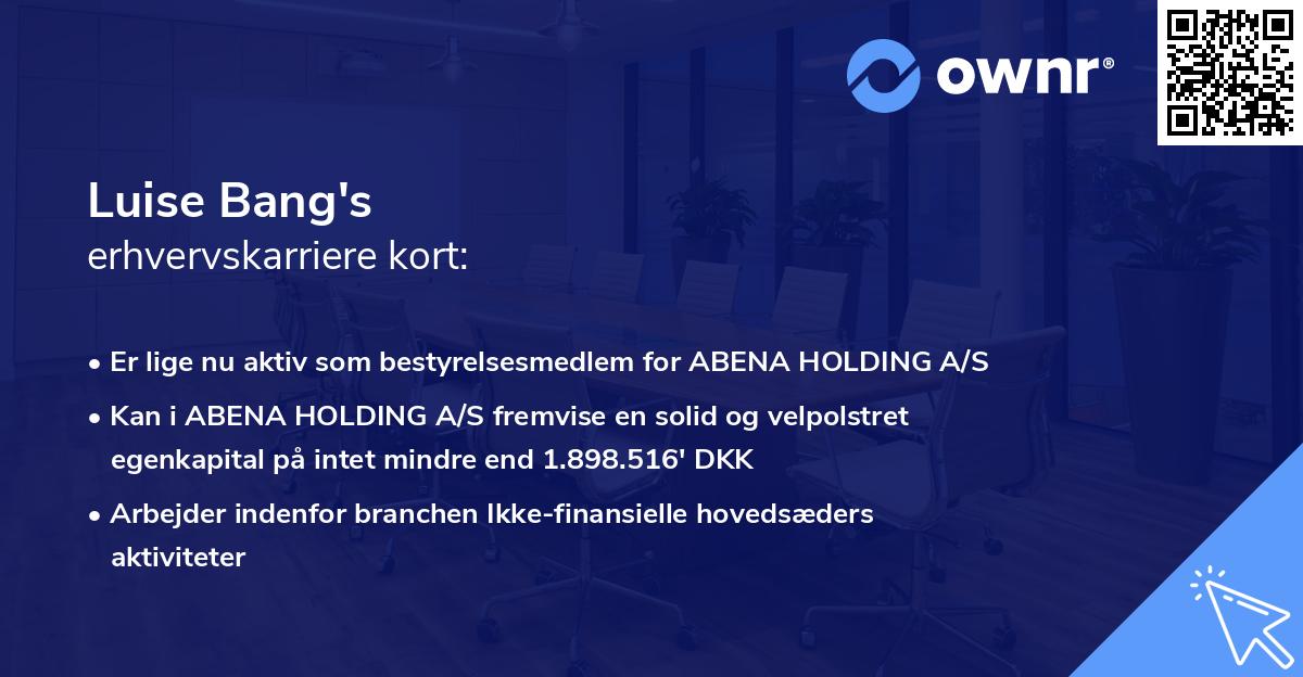 Luise Bang's erhvervskarriere kort