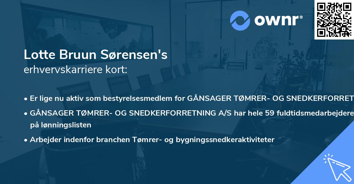 Lotte Bruun Sørensen's erhvervskarriere kort