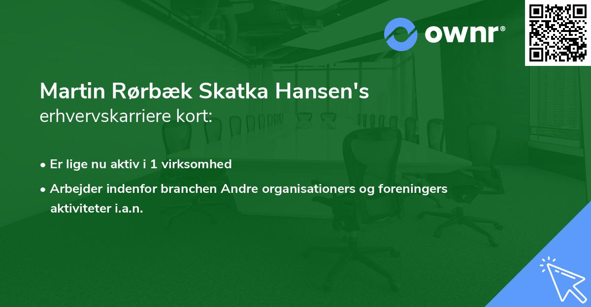 Martin Rørbæk Skatka Hansen's erhvervskarriere kort