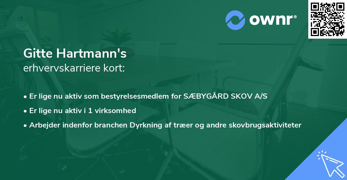 Gitte Hartmann's erhvervskarriere kort