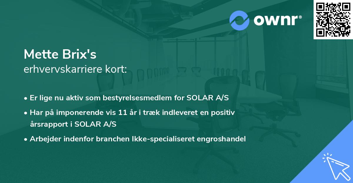 Mette Brix's erhvervskarriere kort