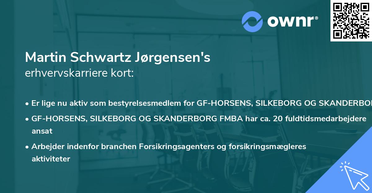 Martin Schwartz Jørgensen's erhvervskarriere kort