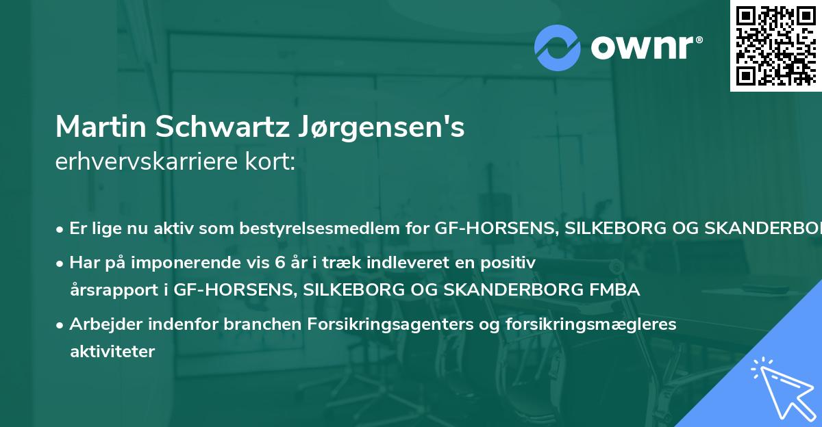 Martin Schwartz Jørgensen's erhvervskarriere kort