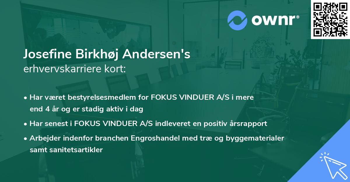 Josefine Birkhøj Andersen's erhvervskarriere kort