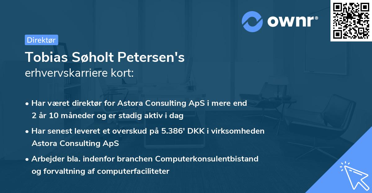 Tobias Søholt Petersen's erhvervskarriere kort