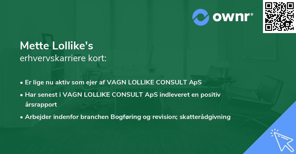 Mette Lollike's erhvervskarriere kort