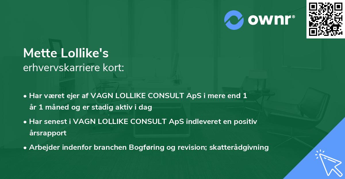 Mette Lollike's erhvervskarriere kort