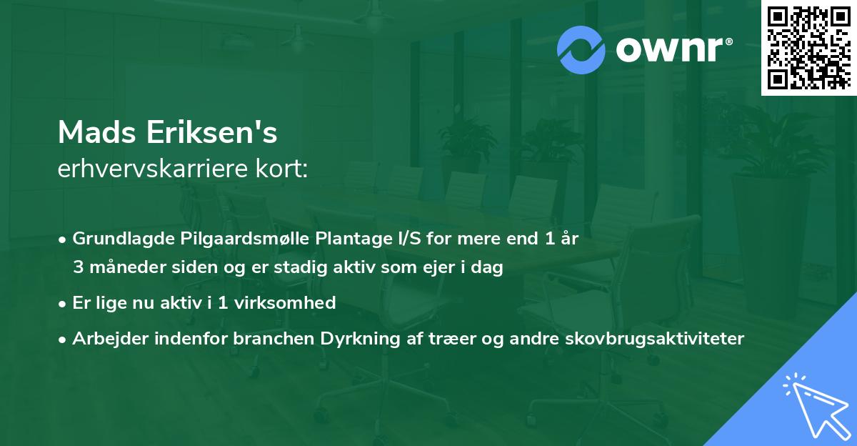 Mads Eriksen's erhvervskarriere kort