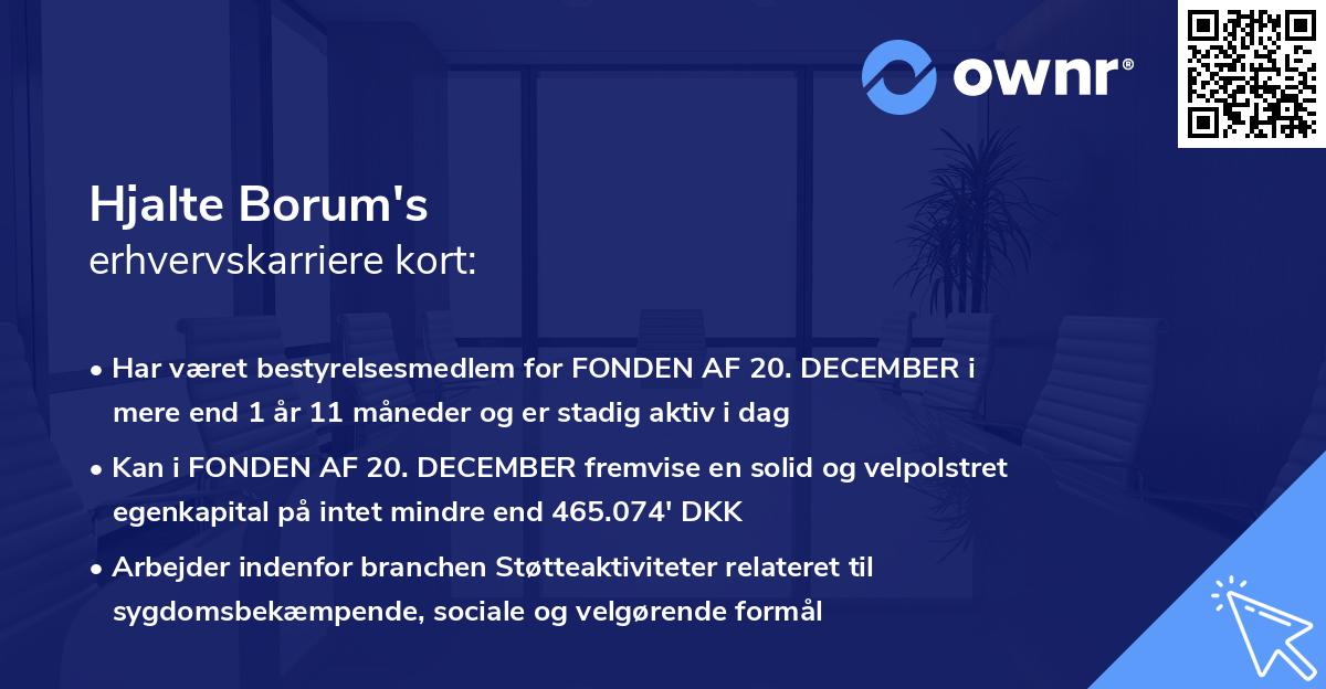 Hjalte Borum's erhvervskarriere kort