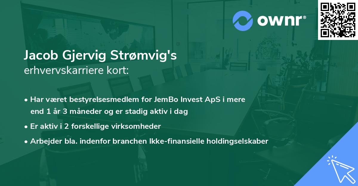 Jacob Gjervig Strømvig's erhvervskarriere kort