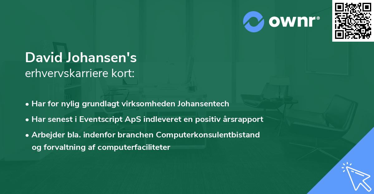 David Johansen's erhvervskarriere kort