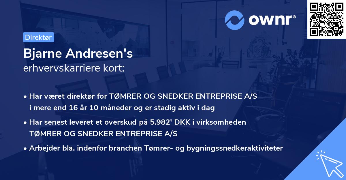 Bjarne Andresen's erhvervskarriere kort