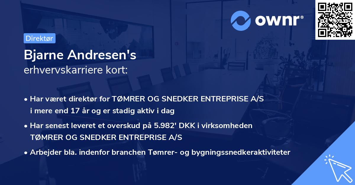 Bjarne Andresen's erhvervskarriere kort