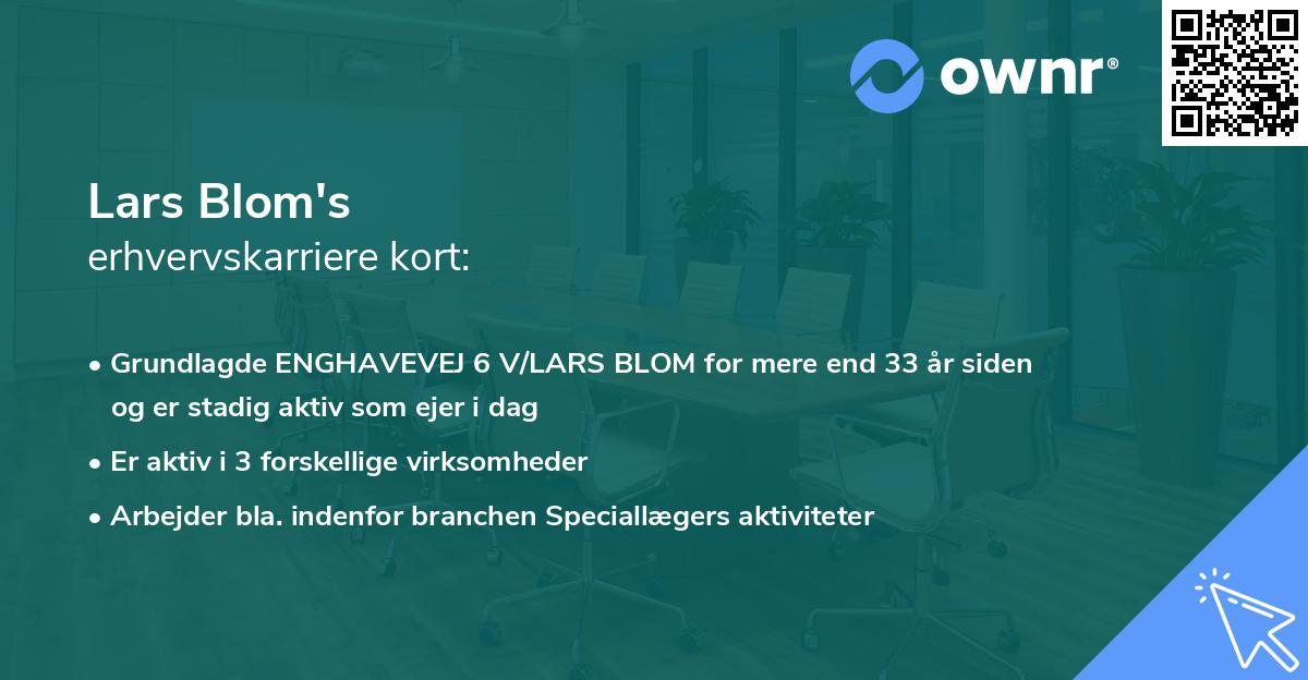 Lars Blom's erhvervskarriere kort
