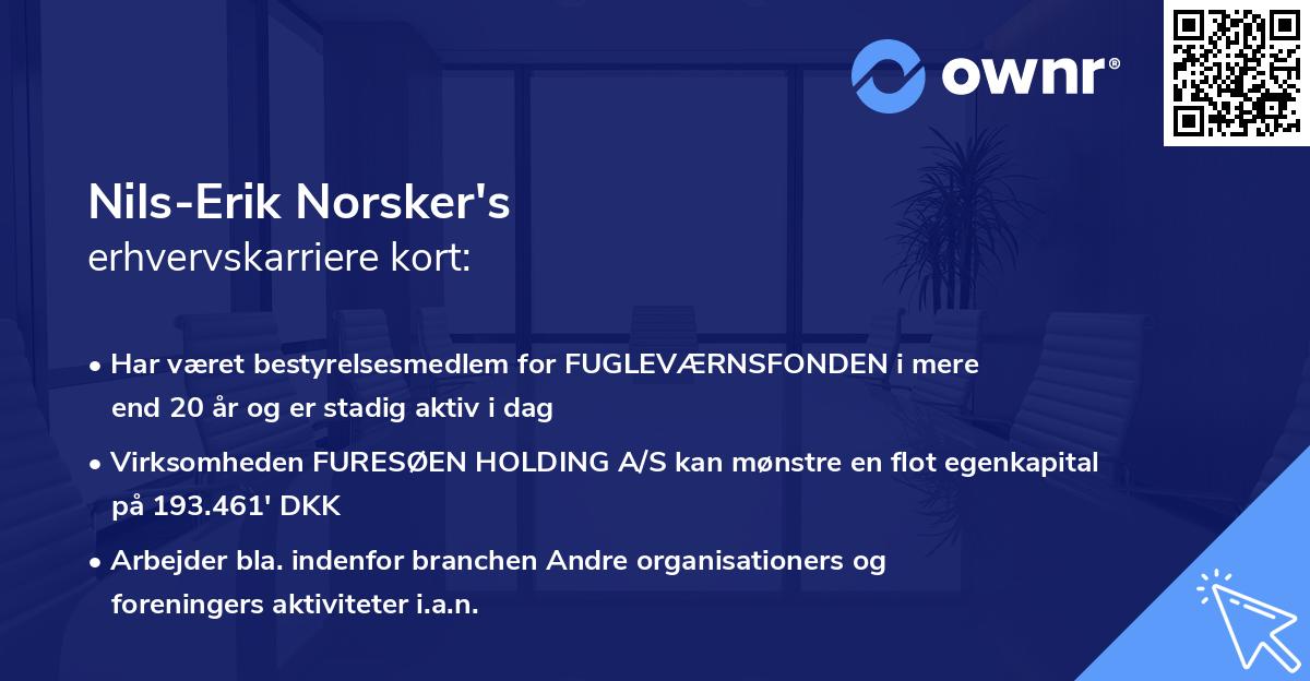 Nils-Erik Norsker's erhvervskarriere kort