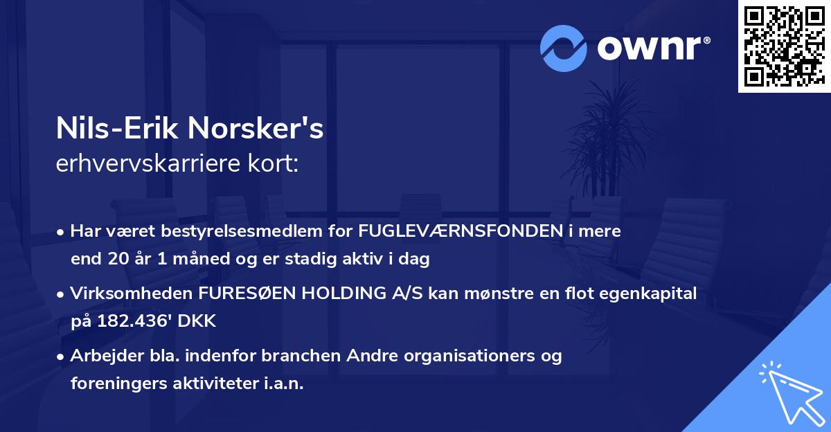 Nils-Erik Norsker's erhvervskarriere kort