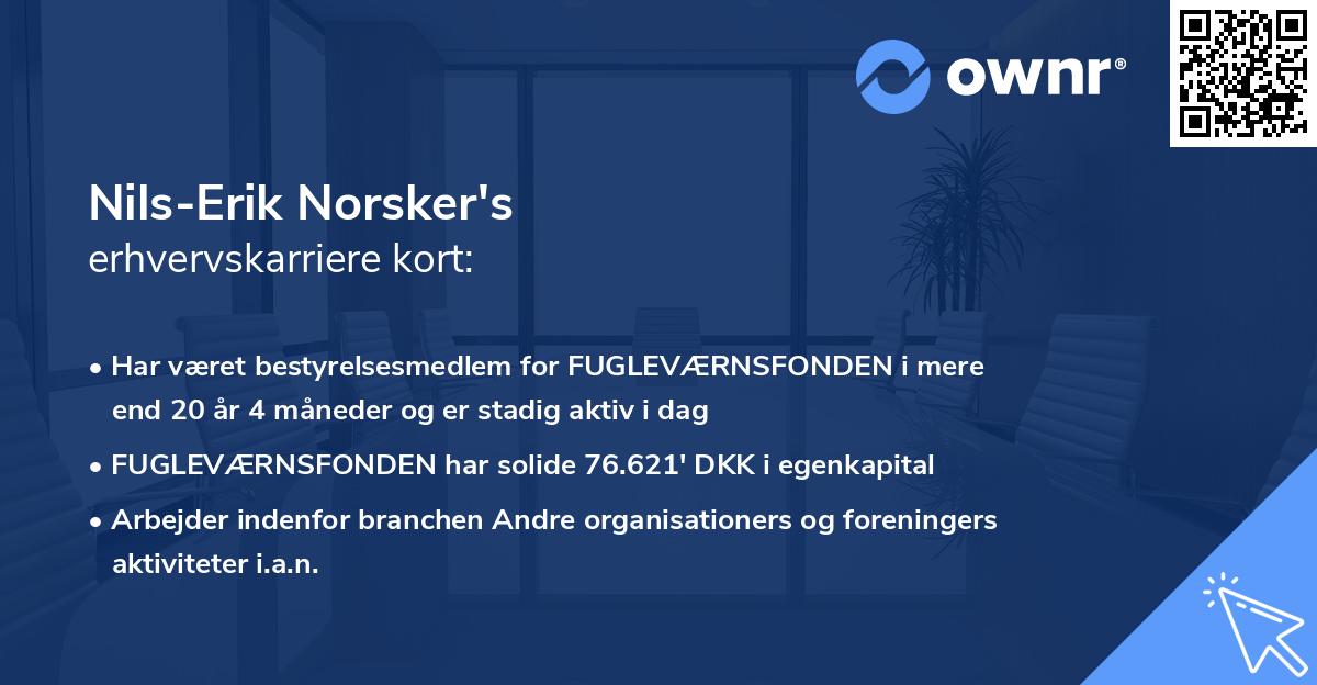 Nils-Erik Norsker's erhvervskarriere kort