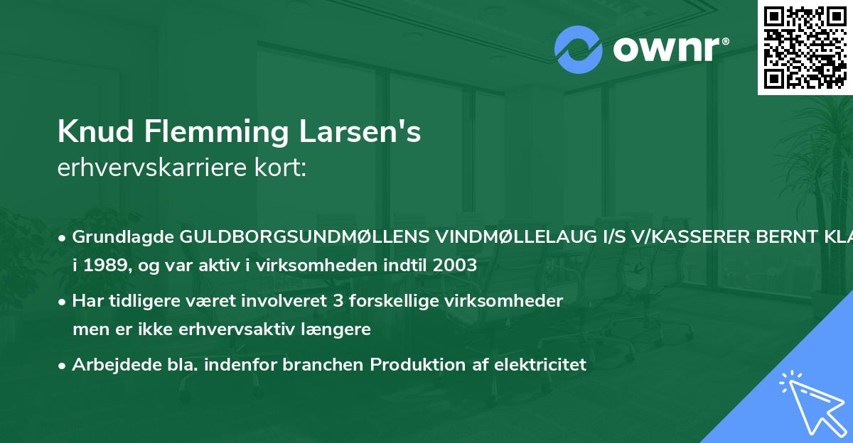 Knud Flemming Larsen's erhvervskarriere kort