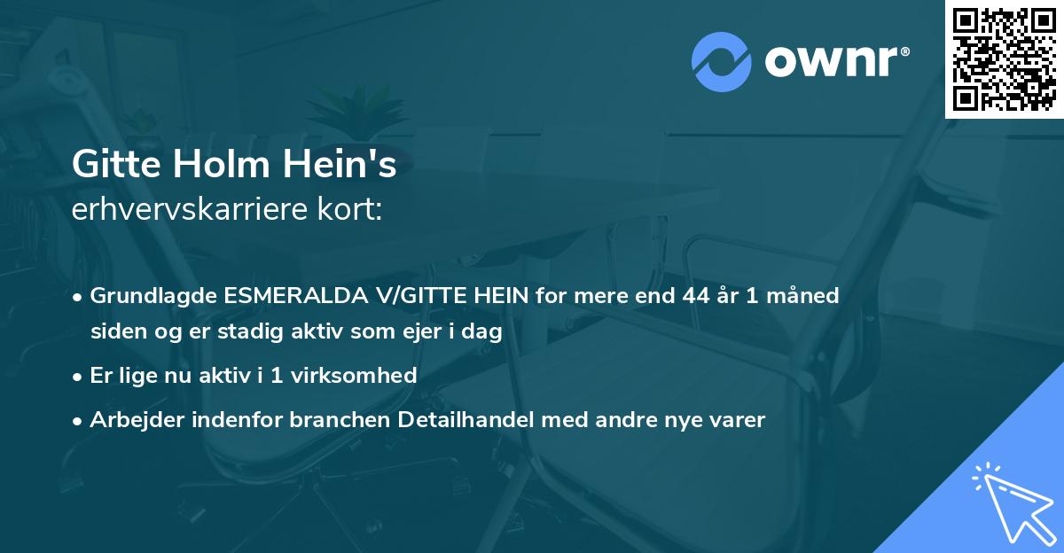 Gitte Holm Hein's erhvervskarriere kort