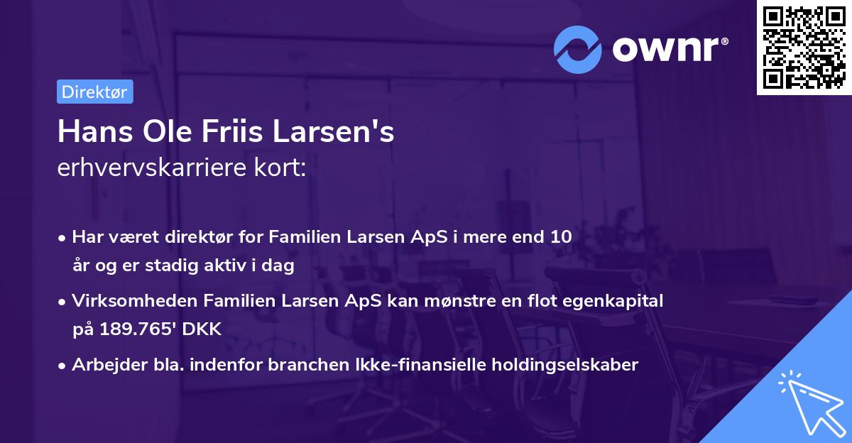 Hans Ole Friis Larsen's erhvervskarriere kort