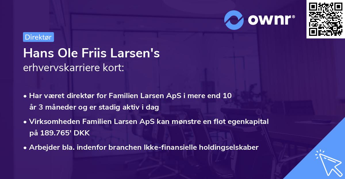 Hans Ole Friis Larsen's erhvervskarriere kort