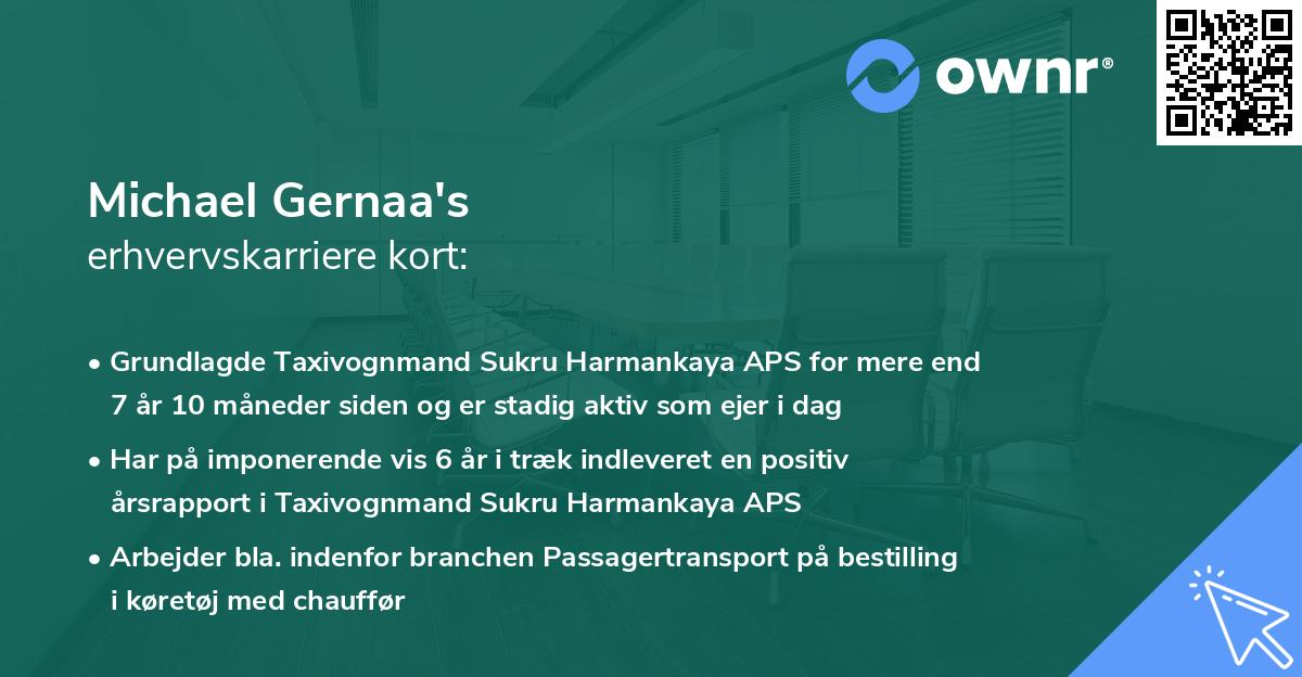 Michael Gernaa's erhvervskarriere kort