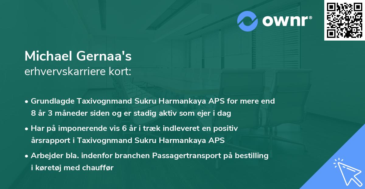 Michael Gernaa's erhvervskarriere kort