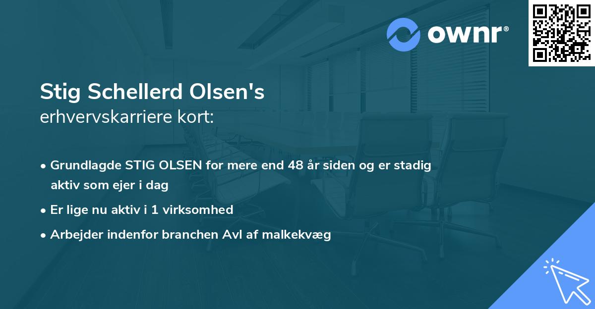 Stig Schellerd Olsen's erhvervskarriere kort
