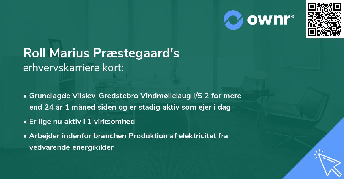 Roll Marius Præstegaard's erhvervskarriere kort