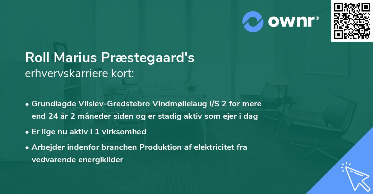 Roll Marius Præstegaard's erhvervskarriere kort