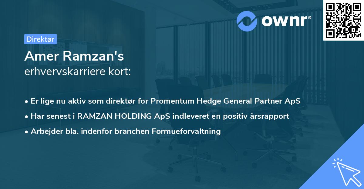 Amer Ramzan's erhvervskarriere kort