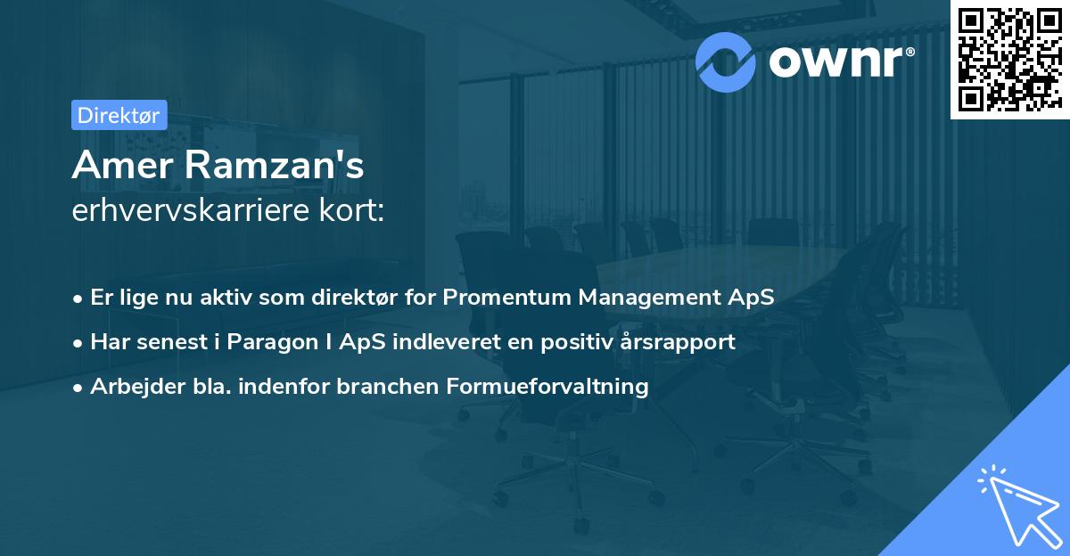 Amer Ramzan's erhvervskarriere kort