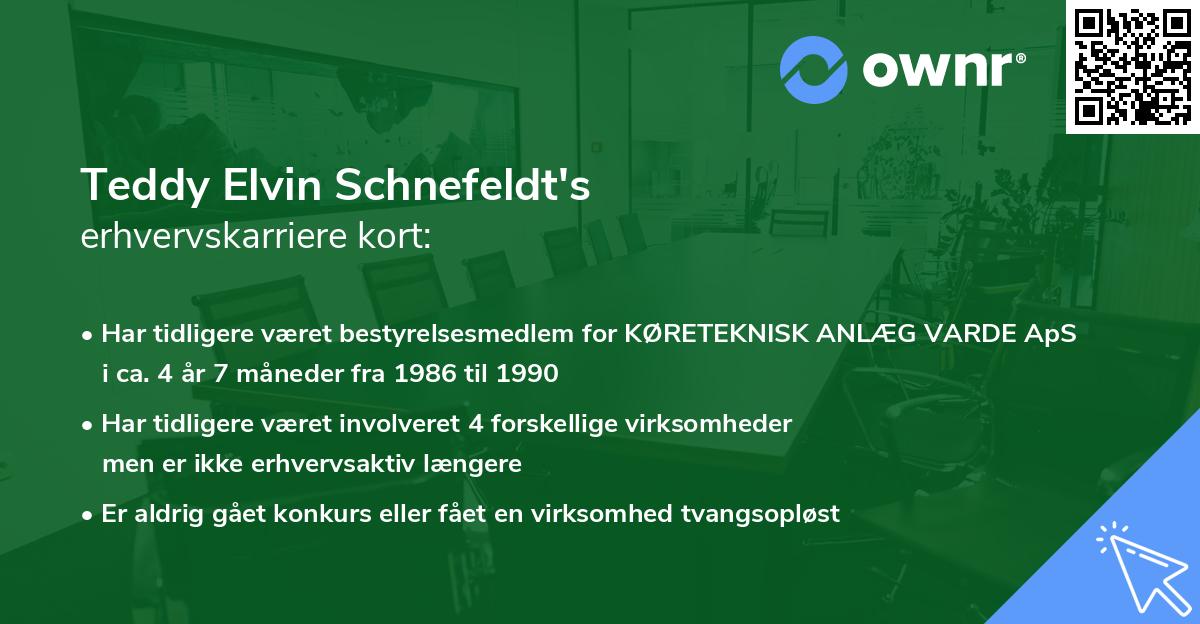 Teddy Elvin Schnefeldt's erhvervskarriere kort