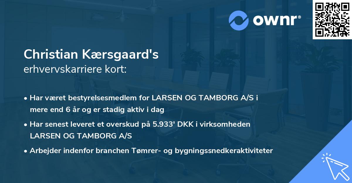 Christian Kærsgaard's erhvervskarriere kort