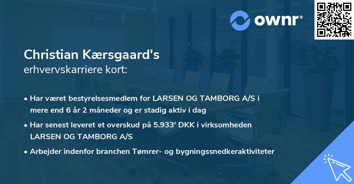 Christian Kærsgaard's erhvervskarriere kort