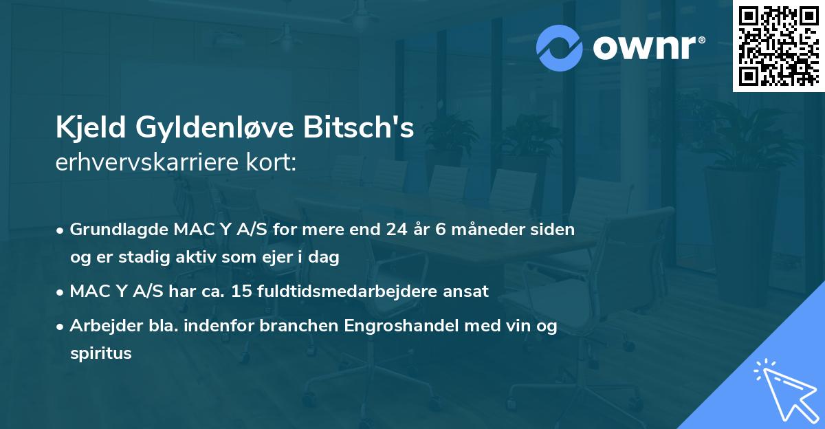 Kjeld Gyldenløve Bitsch's erhvervskarriere kort