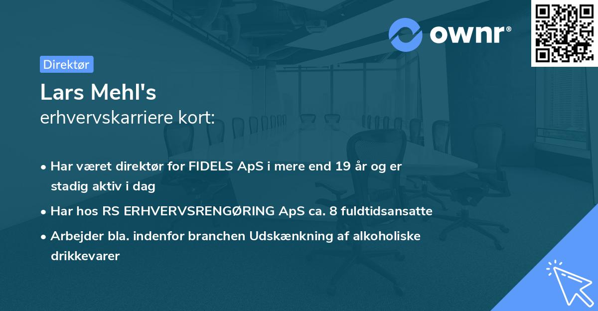 Lars Mehl's erhvervskarriere kort