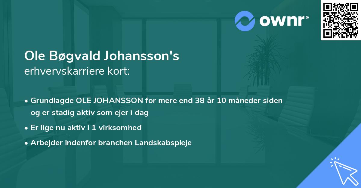 Ole Bøgvald Johansson's erhvervskarriere kort