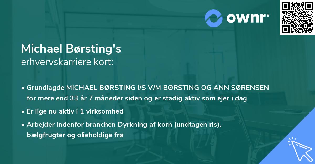Michael Børsting's erhvervskarriere kort