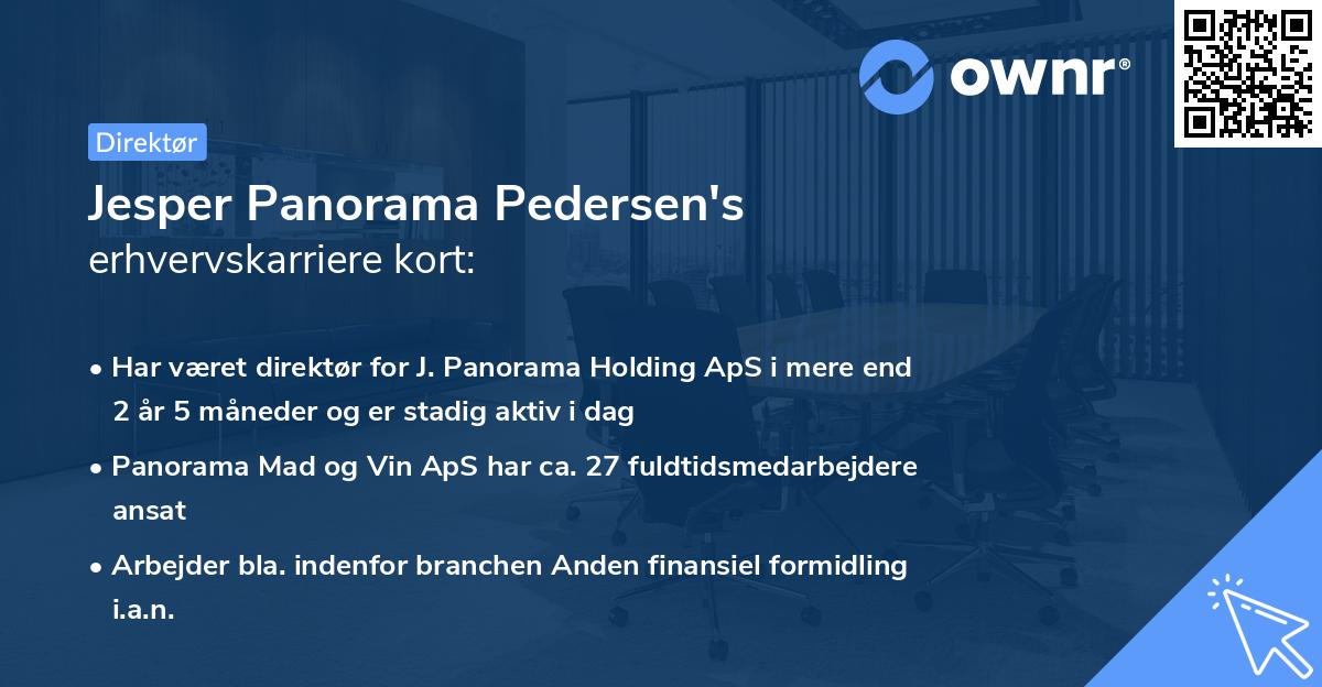 Jesper Panorama Pedersen's erhvervskarriere kort