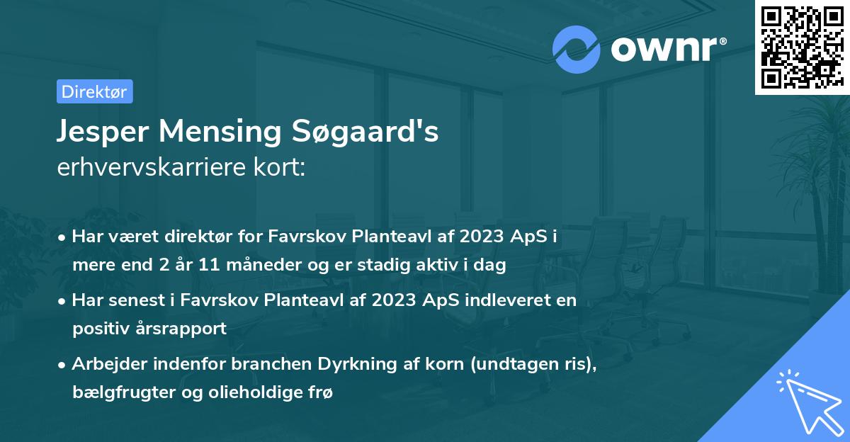 Jesper Mensing Søgaard's erhvervskarriere kort