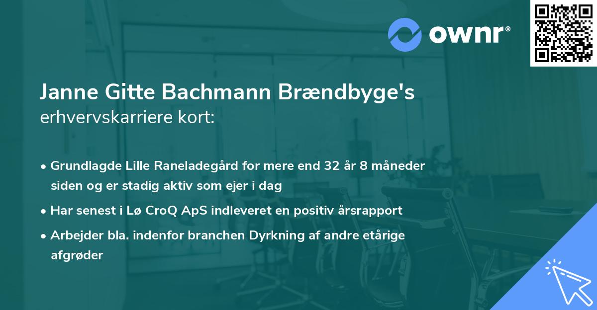 Janne Gitte Bachmann Brændbyge's erhvervskarriere kort