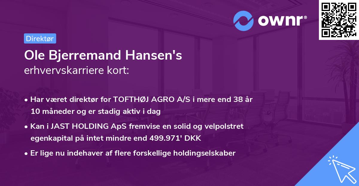 Ole Bjerremand Hansen's erhvervskarriere kort