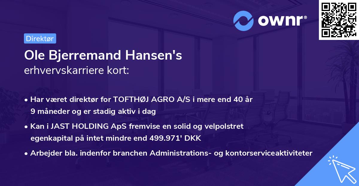Ole Bjerremand Hansen's erhvervskarriere kort